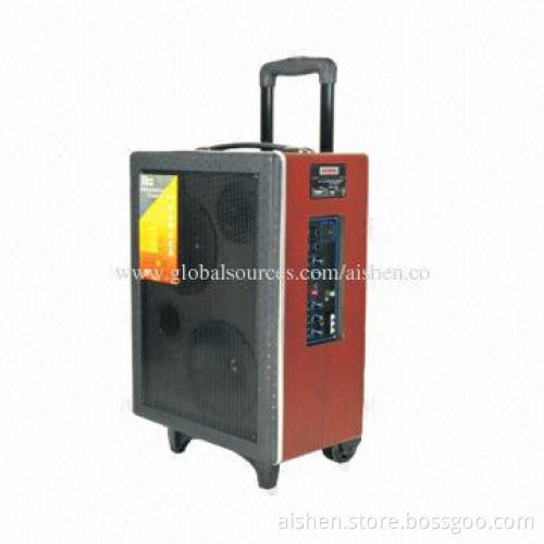 Portable speaker with display